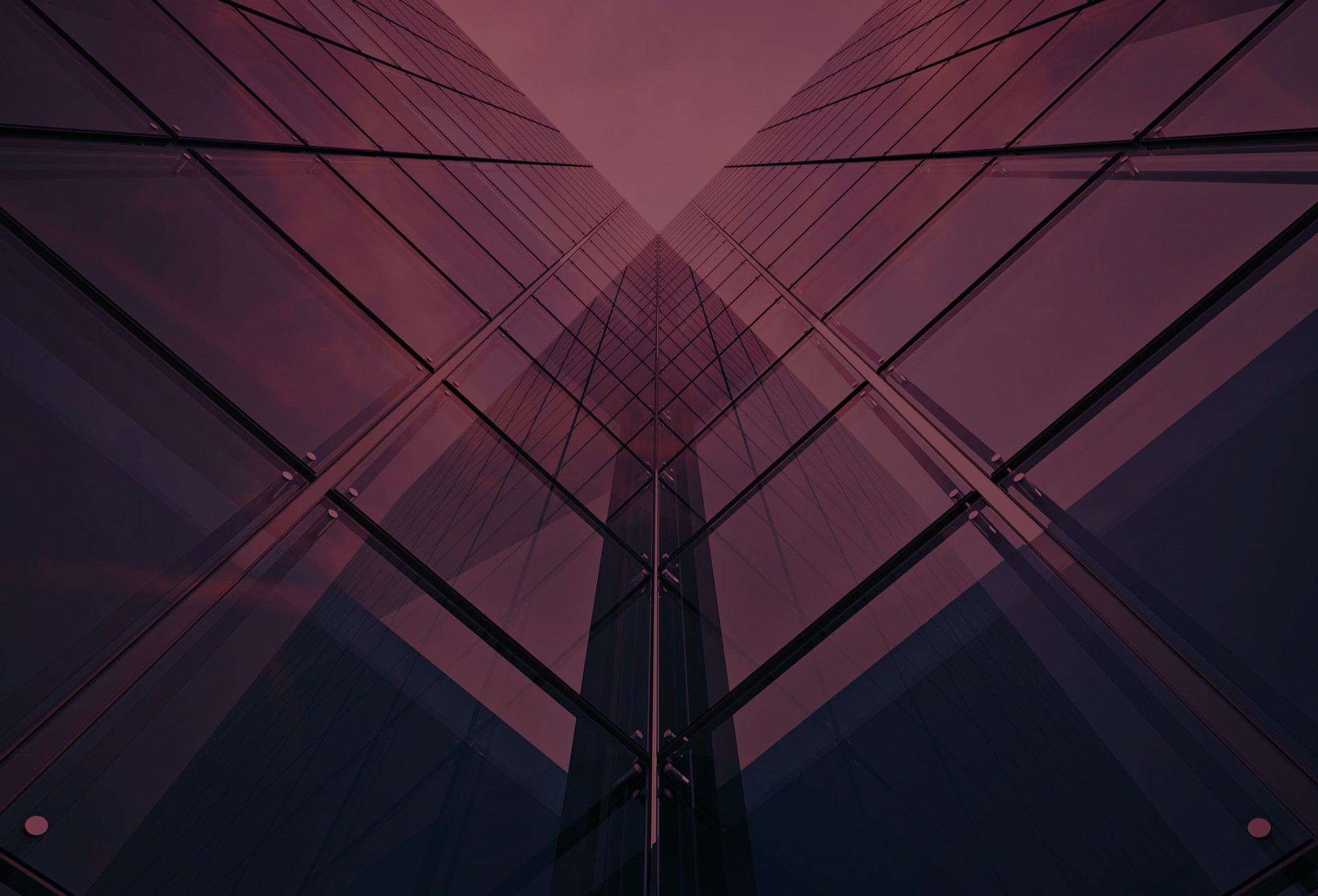 Authority Solutions® | Los Angeles Digital Marketing Agency